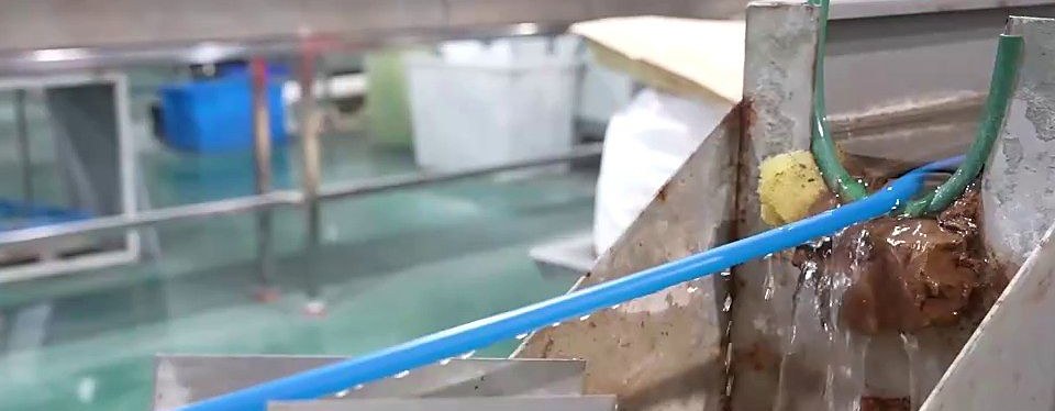 Extrusion workshop